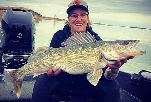 Fort Peck walleye